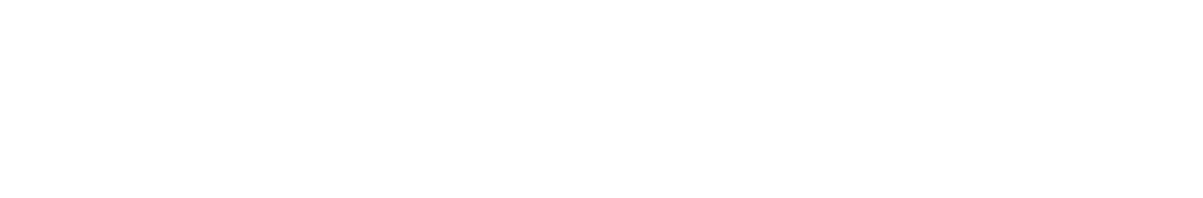 Shakarim AI Check Logo